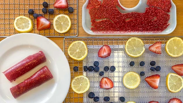 Fruit leather, fruit puree, and berries arranged on a food dehydrator tray